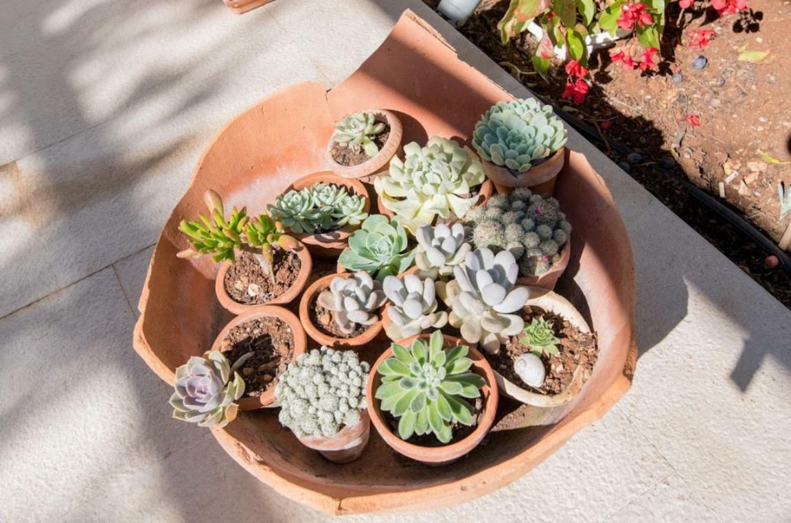 Apartments Petranic スペタル エクステリア 写真